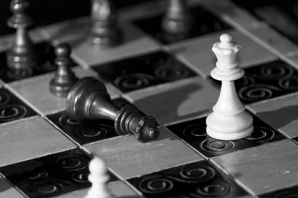 Chess photographed on a chessboard Stock Photo