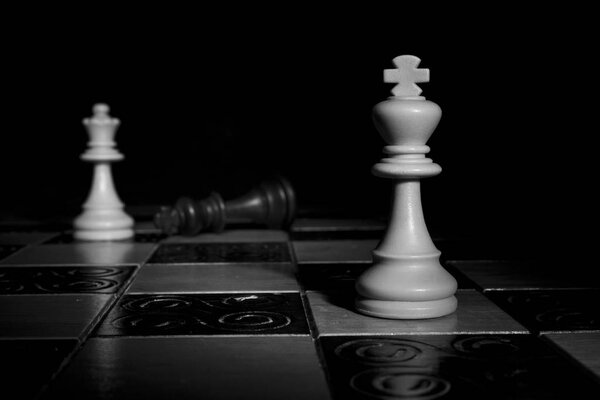 Шахматы сфотографированы на шахматной доске
