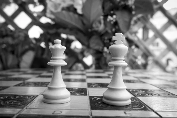 Chess photographed on a chess board — Stock Photo, Image