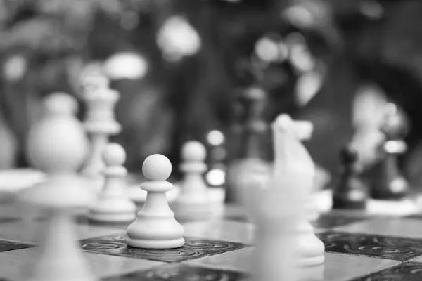 Chess photographed on a chess board — Stock Photo, Image