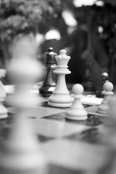 Chess photographed on a chess board — Stock Photo, Image