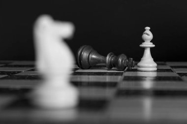 Satranç satranç tahtasında fotoğrafı