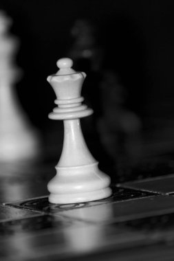 Satranç satranç tahtasında fotoğrafı
