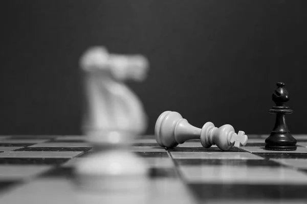 Chess photographed on a chess board — Stock Photo, Image