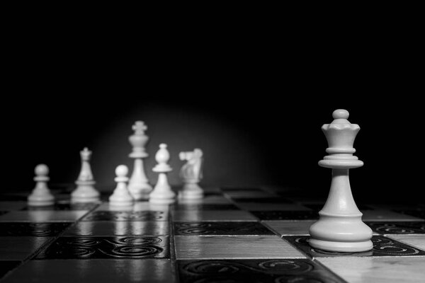 Шахматы сфотографированы на шахматной доске
