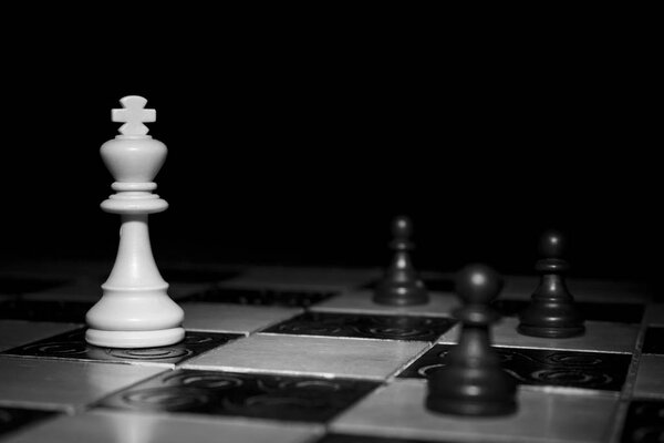 шахматы, сфотографированные на шахматной доске