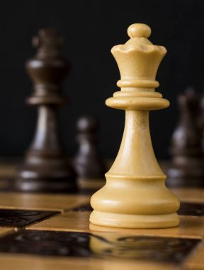 Satranç tahtasında fotoğraflanmış.