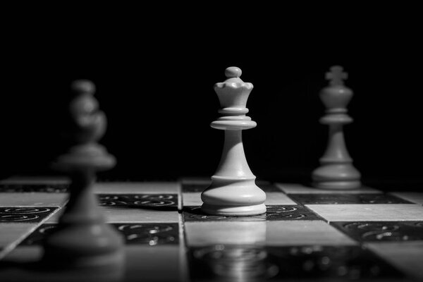 шахматы, сфотографированные на шахматной доске