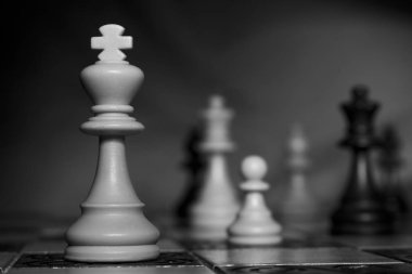 Satranç tahtasında fotoğraflanmış.