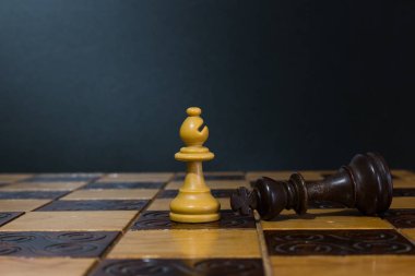 Satranç tahtasında fotoğraflanmış.