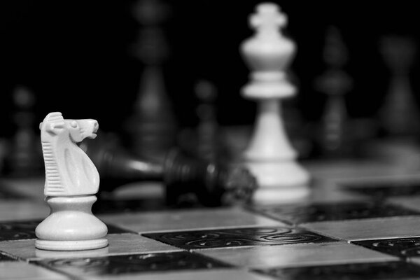 шахматы, сфотографированные на шахматной доске