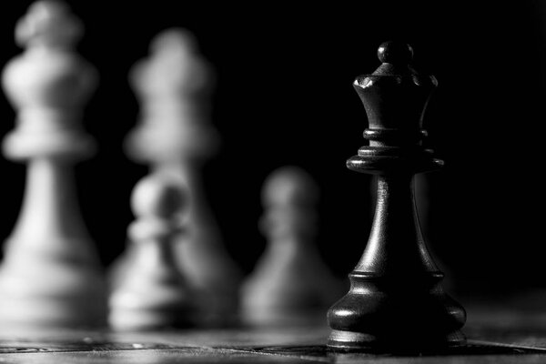 шахматы, сфотографированные на шахматной доске