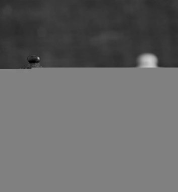 Satranç tahtasında fotoğraflanmış.