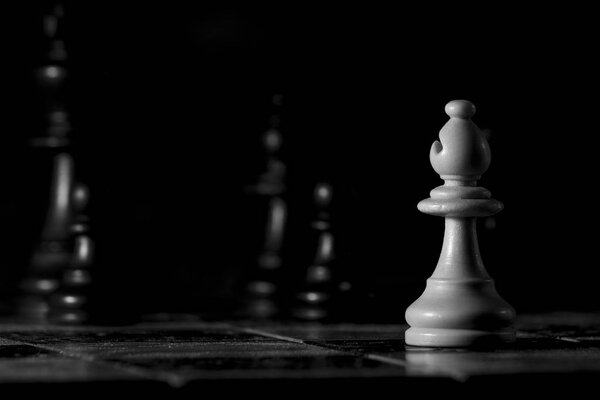 шахматы, сфотографированные на шахматной доске