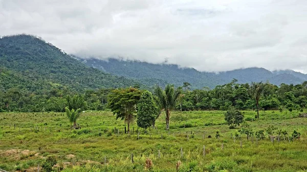 Gunung Berkabut Dan Rumput Hijau — Foto Stok Gratis