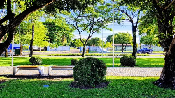 Schöner Grüner Rasen Park — kostenloses Stockfoto