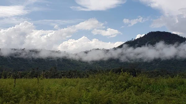 Nebel Über Grasrasen Den Bergen — kostenloses Stockfoto