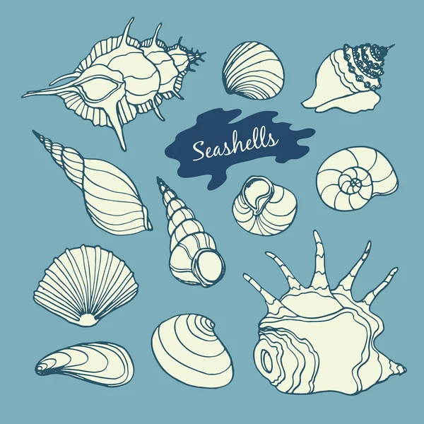 Meeresvektorsammlung mit Muscheln — Stockvektor