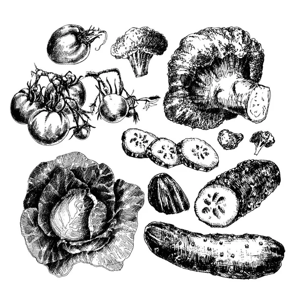 Légumes tirés à la main — Image vectorielle