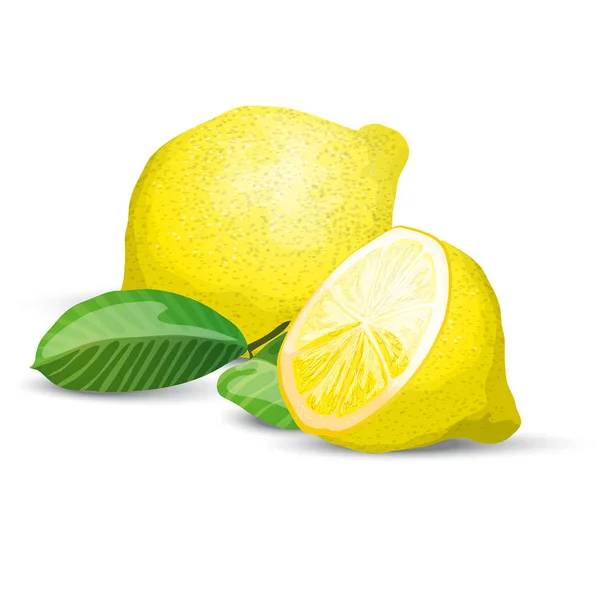 レモン新鮮な組成 — ストックベクタ