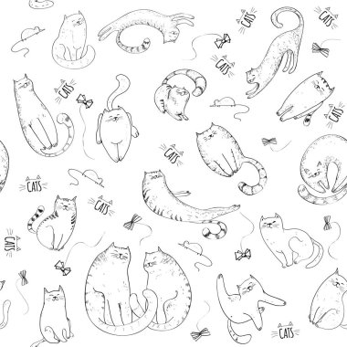 Kedilerde kusursuz desen