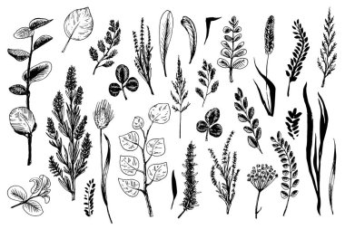 Yaban otları ve çiçekler kabartma stilinde boyanmıştır..