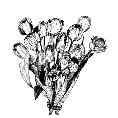 Bahar çiçeklerinin lale dalları. Kalem taslak koleksiyonu vektör illüstrasyonu