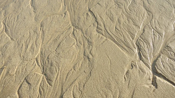 Kanarya adalarındaki kumsal yapısı.