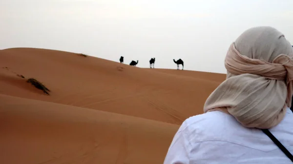 Desert adventure Camel trekking at Morocco on sahara sand dunes with person in foreground — Stock Photo, Image