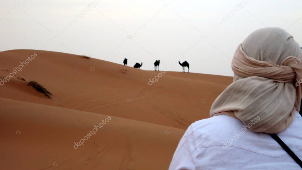 Desert adventure Camel trekking at Morocco on sahara sand dunes with person in foreground