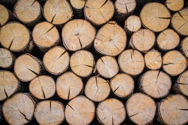 ahşap arkaplan dokusu 