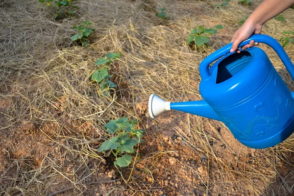 Female hand holding a water can — Stock Photo, Image