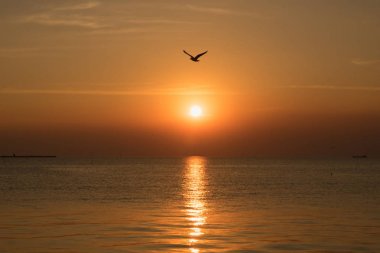 Denizin üzerinde güzel bir gün batımı