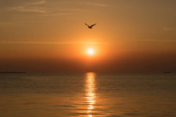समुद्र के ऊपर सुंदर सूर्यास्त — स्टॉक फ़ोटो, इमेज