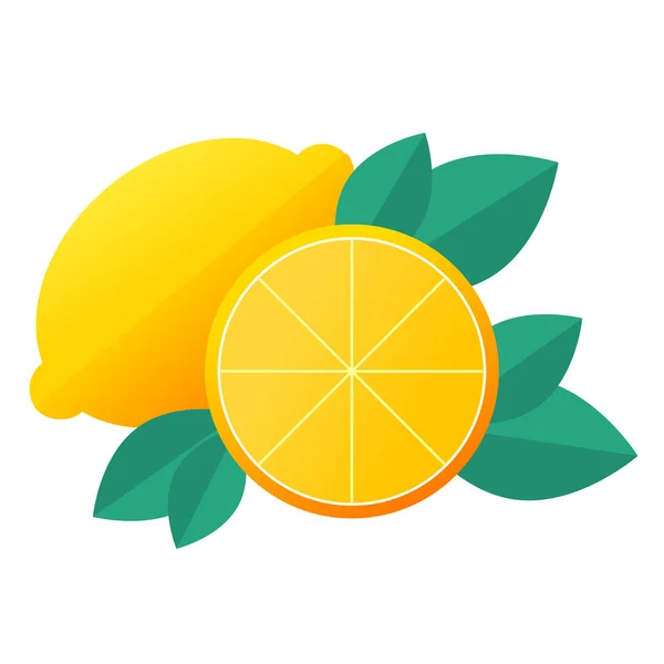 Vecteur de citron frais juteux entier et tranché — Image vectorielle