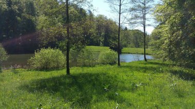 Arka planda bir göl ile odenwald 'da açıklık