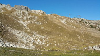 Yazın allgu albümleri