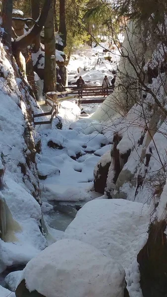 Ruisseau Enneigé Glacé Dans Les Montagnes — Photo