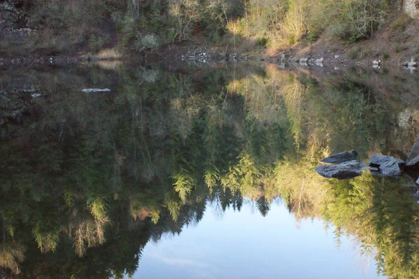 Reflet Des Arbres Dans Lac — Photo