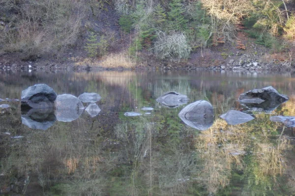 一个有岩石和森林背景的湖 — 图库照片