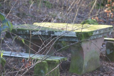 Ormandaki taş banka ve masaya.