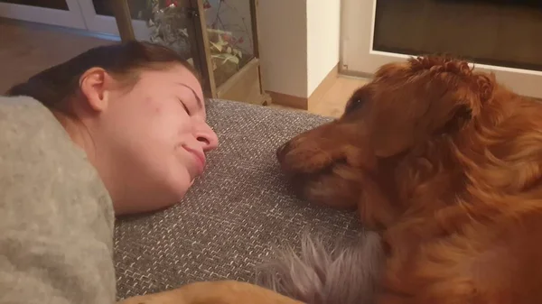 Amistad Entre Humanos Animales — Foto de Stock