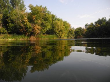 Bir nehir ağaçlarda yansıması