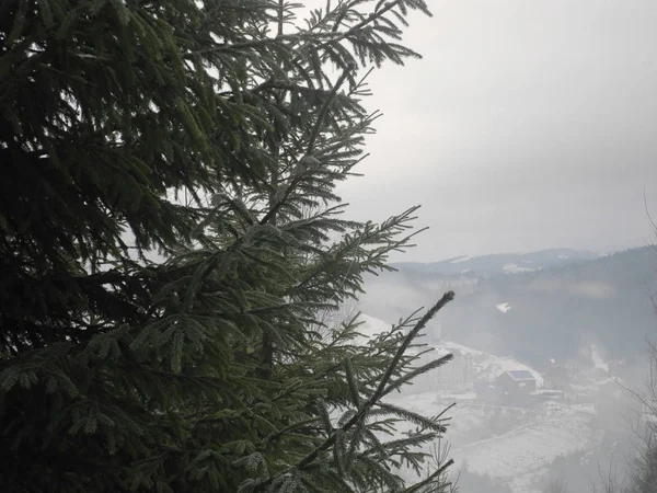 カルパチア山脈のスメレカ 山の上の霧 冬と雪 — ストック写真