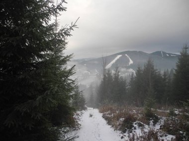 fog in the mountains, Carpathians in winter