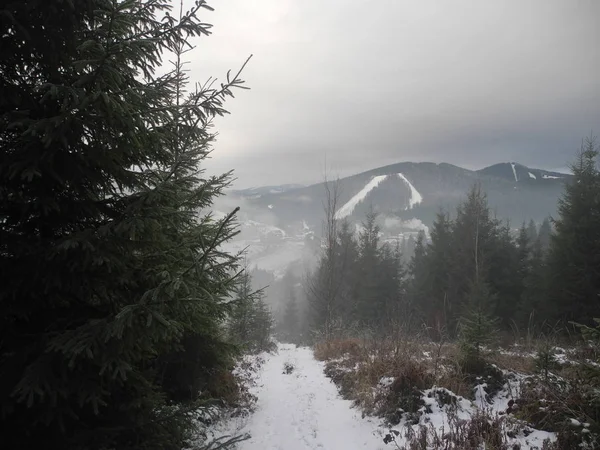 fog in the mountains, Carpathians in winter
