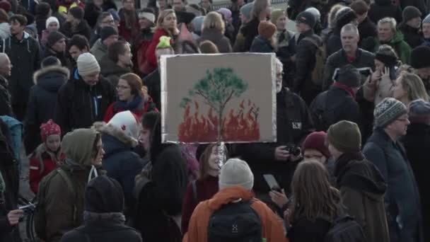 Göteborg November 2019 Protestör Med Skylt Med Brinnande Träd — Stockvideo