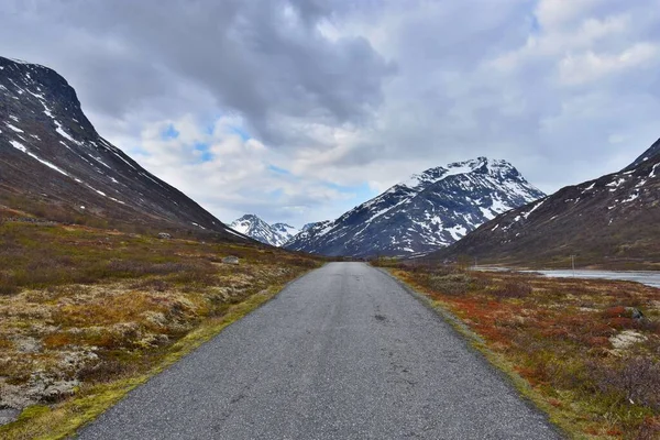 Droga Parku Narodowym Jotunheimen Natura Norweska Skandynawia — Zdjęcie stockowe
