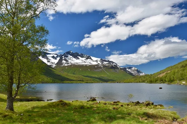 Dolina Innerdalen Norwegii Jezioro Góry — Zdjęcie stockowe