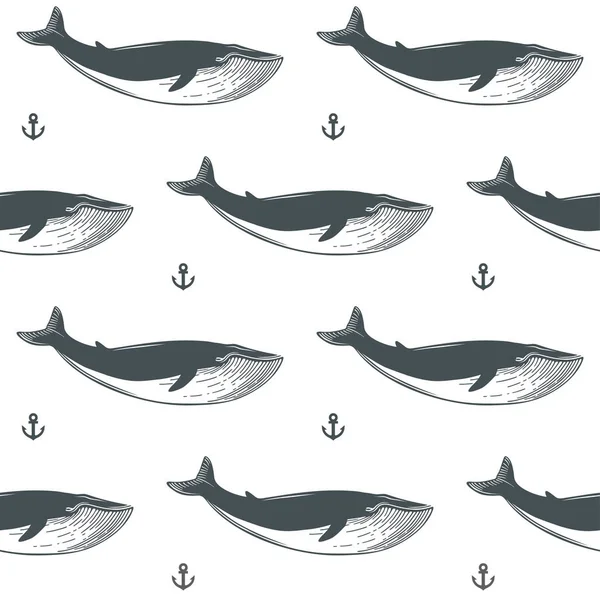 Padrão Náutico Com Baleias Anacores Ilustração Vetorial — Vetor de Stock